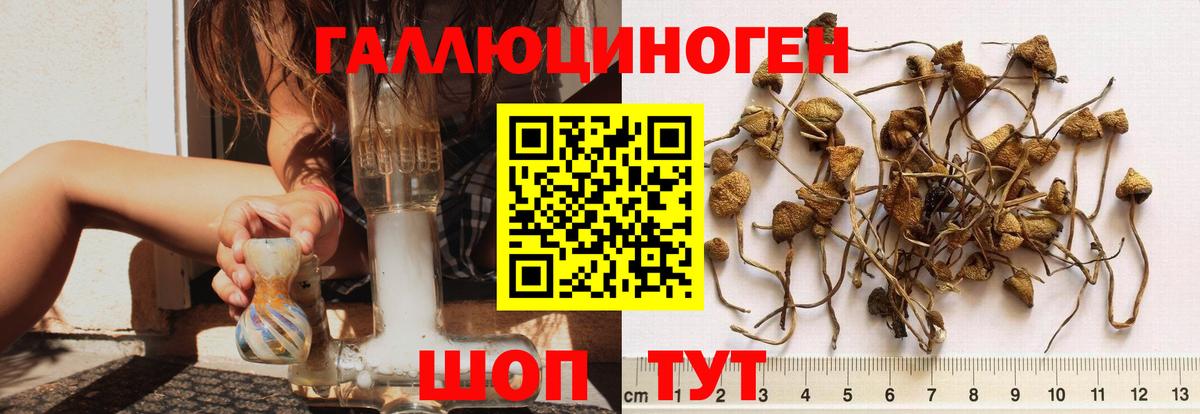 Ялта  Псилоцибиновые грибы Psilocybine cubensis  Вход с VPN 